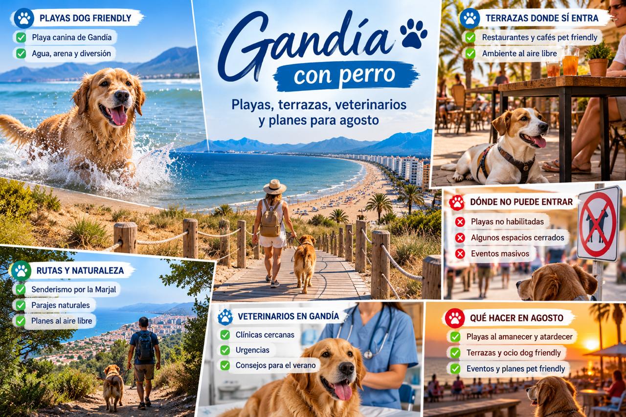 Gandía con perro